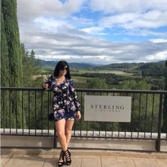 Lulus dress - Picture 3 of 4